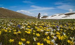 Türkiye’nin bitki bazlı gıdalardaki potansiyeli giderek artıyor