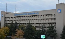 TEDAŞ'ın Canlı Hat Bakım Projesi için ihale süreci başlatıldı