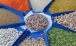 Türkiye'nin hububat, bakliyat ve yağlı tohum ihracatı 10 ayda 10 milyar doları geçti