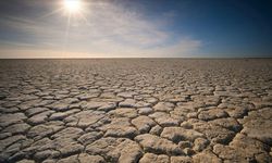 Küresel iklim endeksinde ilk 3 sıra bu yıl da boş kaldı