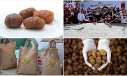 Bursa kestane şekeri ve İpsala pirinci AB’den coğrafi işaret tescili aldı