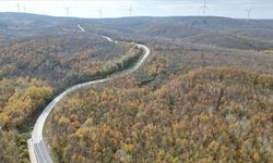 Tekirdağ ormanlarında sonbahar renklerinin cümbüşü