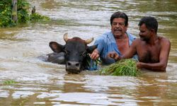 Sri Lanka'da şiddetli yağışların neden olduğu afetlerde 47 kişi öldü