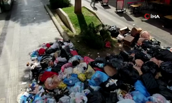 İzmir'de çöp krizi sinek istilasına dönüştü