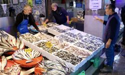 Trabzon'daki balıkçı tezgahlarında hamsi bolluğu devam ediyor