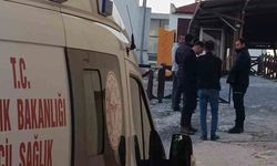 Müze güvenlik görevlisi nöbet yerinde ölü bulundu