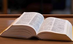 Cambridge Sözlüğü, 2025'in sözcüğünü seçti