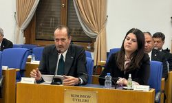 MHP'li Osmanağaoğlu'ndan acil sağlık hizmetleri istasyonları için kullanılacak yerlerin tahsisi için çağrı