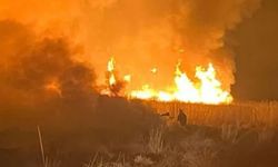 Hakkari'de Nehil Sazlığı'ndaki kuş cennetinde yangın