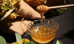 Yenice ıhlamur balı AB'den coğrafi işaret tescili aldı