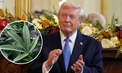 Trump’tan tıbbi marihuanaya erişimi düzenleyen başkanlık kararnamesi