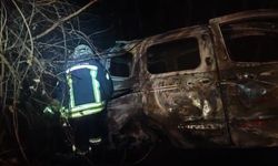 Ağaca çarpan araç alev alev yandı