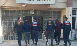 Efeler’de zeytin hırsızlığı: Çalınan 400 kilo zeytin fabrikaya satılmış