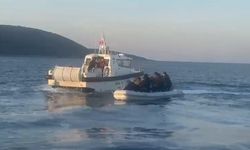 Aydın’da kaçak göçmen operasyonu