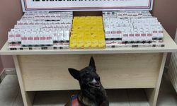 Kayseri'de 630 paket bandrolsüz kaçak sigara ele geçirildi