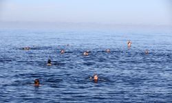 Giresun'da "Sağlığa Kulaç At" etkinliğine katılanlar denizde yüzdü