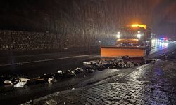 Hakkari'de yola düşen kaya parçaları ekiplerce temizlendi