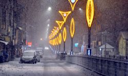 Kars'ta kar yağışı etkili oluyor