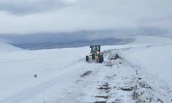 Kars'ta kar nedeniyle kapanan 20 köy yolu ulaşıma açıldı