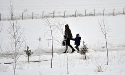 Doğu’da kar yağışı ve soğuk hava etkili oldu