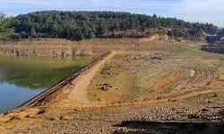 Edirne'de Kadıköy Barajı'ndaki su seviyesi "ölü hacme" düştü: Keşan'a su alımı durduruldu