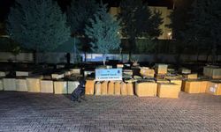 Gaziantep'te 7 ton kaçak tütün ele geçirildi: 1 gözaltı