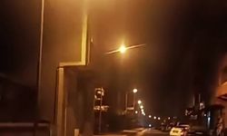 Anne ayı ve yavruları ilçe merkezine indi