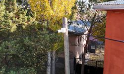 Bu köy 7 gün 24 saat kamerayla izleniyor