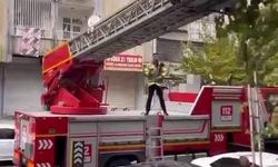 Ağaçta mahsur kalan kediyi kurtarmak için seferber oldular