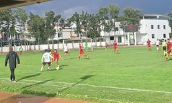 Söke 1970, Bornova’yı eli boş gönderdi