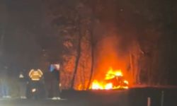 Ağaca çarpan araç alev alev yandı