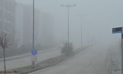 Elazığ'da yoğun sis, bir mahalle adeta kayboldu