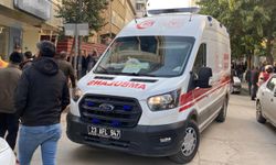 Elazığ'da pikaba çarpan bisikletli yaralandı