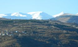 Posof’ta yeşil ve beyazın buluşması