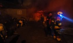 Sındırgı’da hayvan damı ve samanlıkta yangın