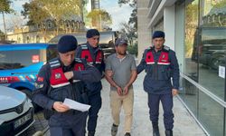 Ağaç kesimi sırasında komşusunun ölümüne sebep olan şahıs tutuklandı