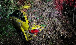 Sürücüsünün içinde olduğu otomobilin üzerine ağaç devrildi