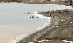Bitlis’te bir yanda kar esareti, bir yanda su keyfi