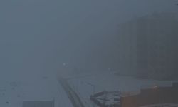 Yüksekova’da yoğun sis hayatı felç etti