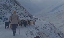 Ağrı'da kar ve tipi hayatı durdurdu: Eleşkirt'te 3 köy yolu ulaşıma kapandı