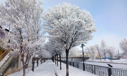 Bayburt’un Arpalı Beldesi güne kar yağışıyla uyandı