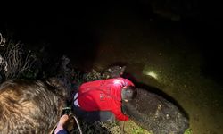 Su kanalına düşen buzağıyı itfaiye kurtardı