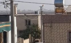 Şanlıurfa'da meydan savaşına dönen kavgada 1 kişi silahla vuruldu