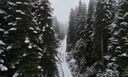 Karabük'ün yüksek kesimleri beyaza büründü