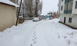 Başkale'de kar etkili oldu