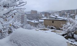 Hakkari'de 13 köy ve 30 mezra yolu ulaşıma kapandı