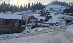 Çiğdem Yaylası beyaza büründü