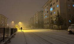 Van'da yoğun kar yağışı