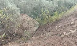 Ayvacık'ta düşen kaya parçası toprak kaymasına sebep oldu