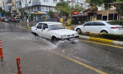 Aydın’da hafta sonu yağışlı hava sevindirdi